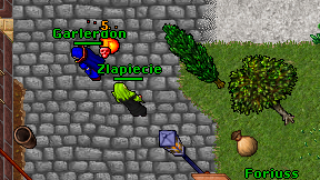 Zlapiecie on screen