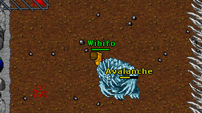Wihifo on screen