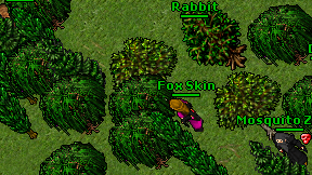 Fox Skin on screen