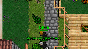 Idieh on screen