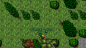 Electronica on screen