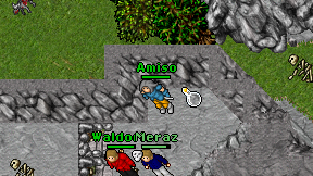 Amiso on screen