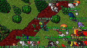 Tecnigas on screen