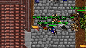 Wild rayeki on screen