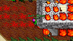 Got-Wang on screen