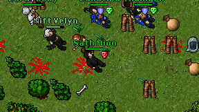 Sath Mion on screen