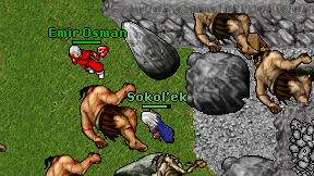 Sokol'ek on screen