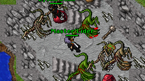 Master'Lider on screen