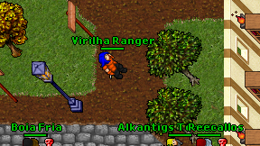 Virilha Ranger on screen