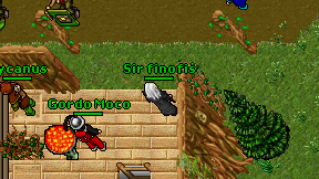 Sir finofis on screen
