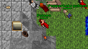 Polawo on screen