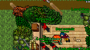 Nifu Nifa on screen