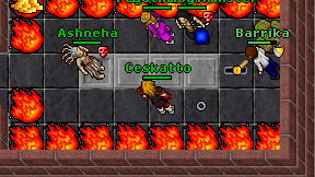 Ceskatto on screen