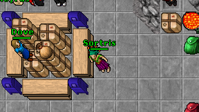 Sortris on screen