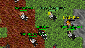Aueho on screen