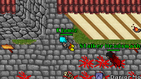 Kjamiz on screen