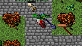 Pivapose on screen