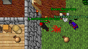 Larithnull Druid on screen