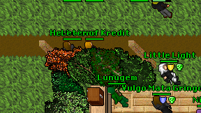 Herbolore on screen
