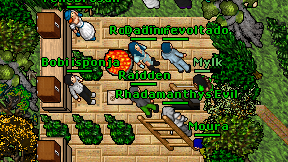 Raidden on screen
