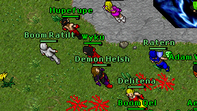Wyku on screen