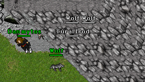 Tural Irod on screen