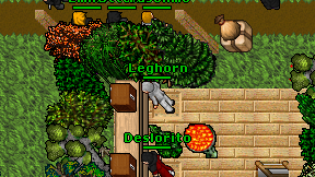Leghorn on screen
