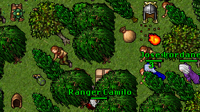 Ranger Camilo on screen