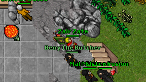 Zair Zate on screen