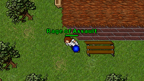 Rage of Assault on screen