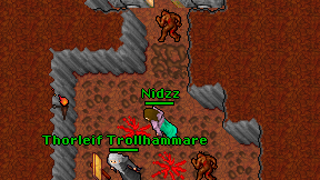 Nidzz on screen