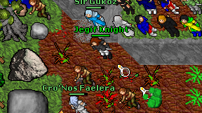 Jegif Knight on screen