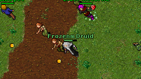 Frozenm Druid on screen