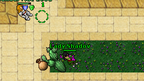 Lady Shadov on screen