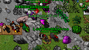 Summoned Fairy on screen