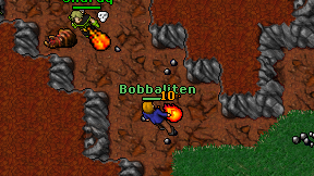 Bobbaliten on screen