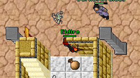 Eldire on screen