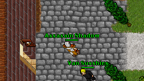 Assasain Shadow on screen