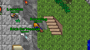 Royming on screen