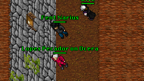 Fent Narius on screen