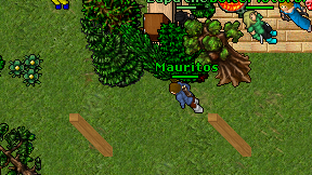 Mauritos on screen