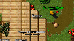 Gynes on screen