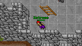 Xetrone on screen