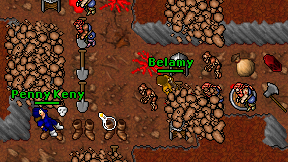 Belamy on screen
