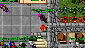 Night-Wish on screen