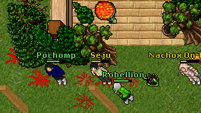 Seju on screen
