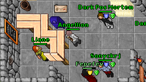 Angellion on screen