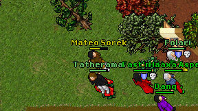 Mateo Sorek on screen