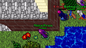 Mina Pron on screen