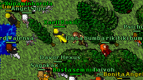 Xaell Rokil on screen
